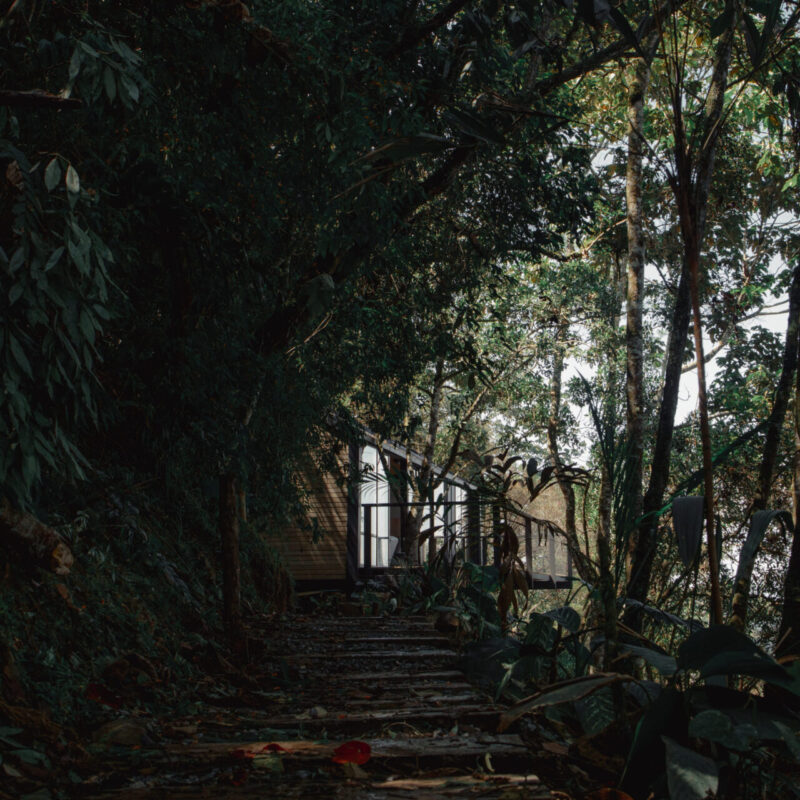 MOP-Catedral-15